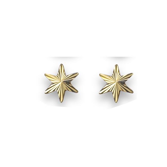 Star Earrings