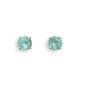 Paraiba Tourmaline Stud Earrings