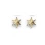 Star Earrings