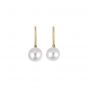 Pearl Earrings - 00022541 | Heming Diamond Jewellers | London