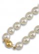 Single strand pearl necklace 8-8.5mm - 01026007 | Heming Diamond Jewellers | London