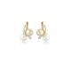 Multi colour Pearl Earrings - 00025076 | Heming Diamond Jewellers | London